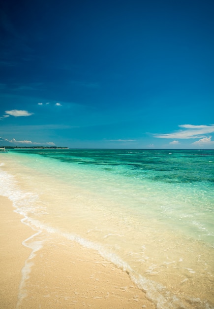 Spiaggia tropicale