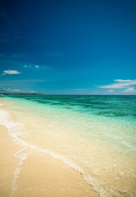 Spiaggia tropicale