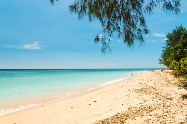 Spiaggia tropicale