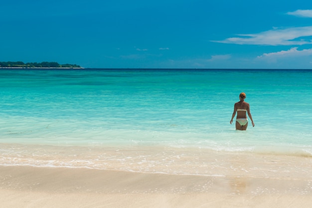 Spiaggia tropicale