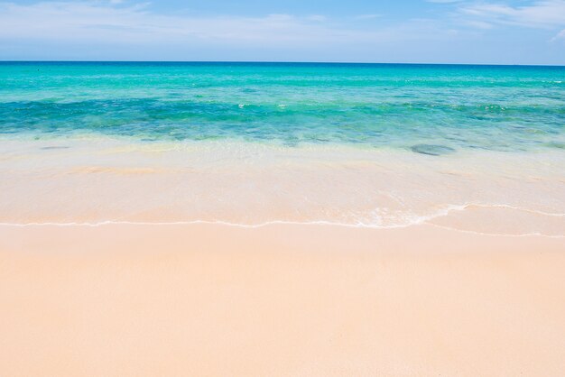 Spiaggia tropicale