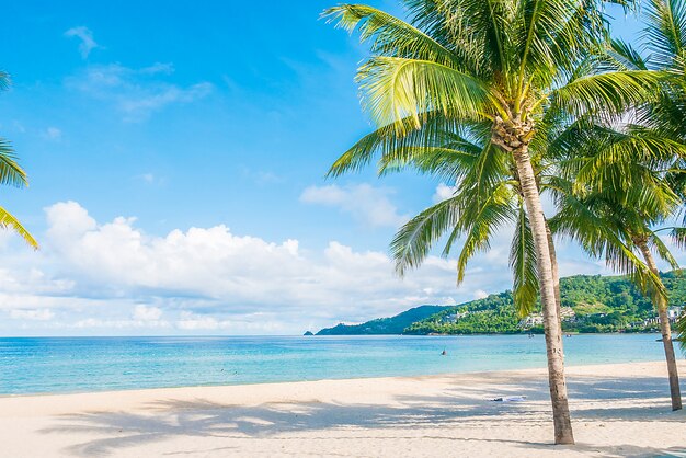 Spiaggia tropicale