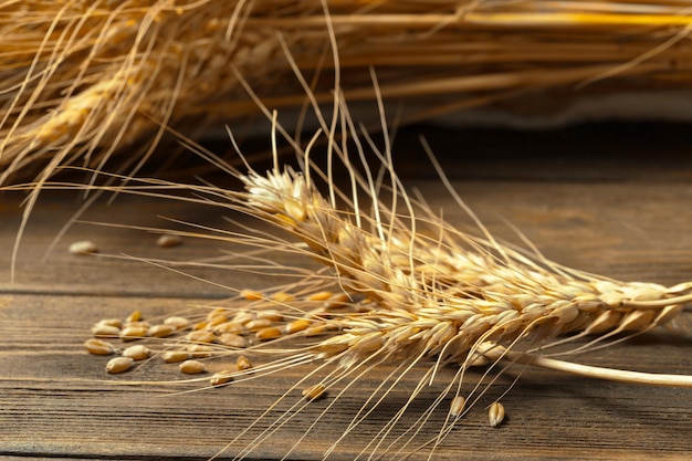 Spighe di grano sul tavolo di legno