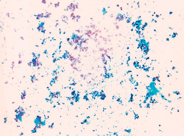 Splatter di polvere di colore blu holi su sfondo bianco