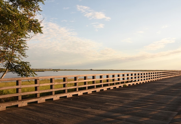 Splendida vista della strada rialzata in legno a Duxbury sulla baia.