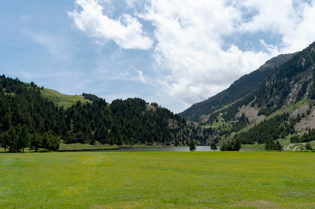 Splendida vista sulla posizione della natura