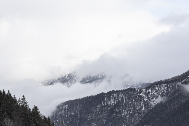 Splendida vista sulle montagne innevate in una giornata nebbiosa