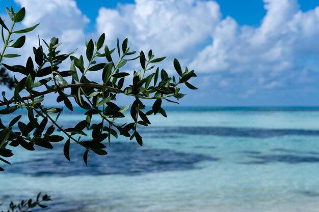 Splendide viste sull'oceano blu delle Maldive