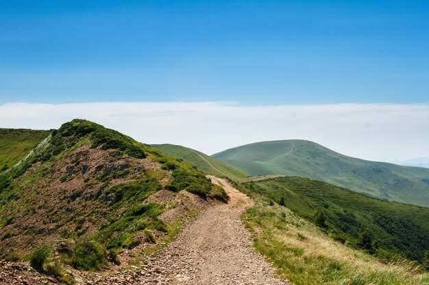 Splendido paesaggio delle montagne dei Carpazi ucraini.