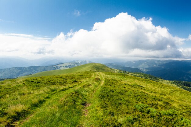 Splendido paesaggio delle montagne dei Carpazi ucraini.