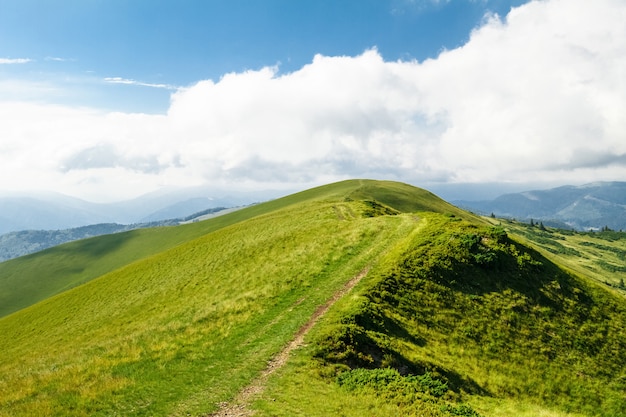 Splendido paesaggio delle montagne dei Carpazi ucraini.