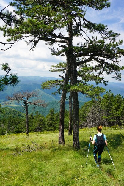 Splendido scatto di una donna che fa un'escursione su una montagna con alberi ed erba alta con una bellissima vista