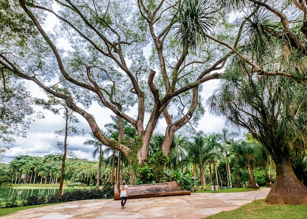 Splendido scenario del parco Mangal Das Garcas nella città di Belem in Brasile