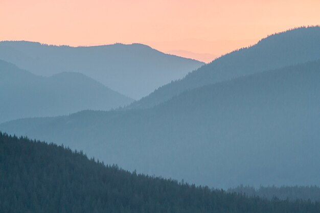 Splendido scenario del tramonto nel Parco Nazionale del Monte Rainier negli Stati Uniti