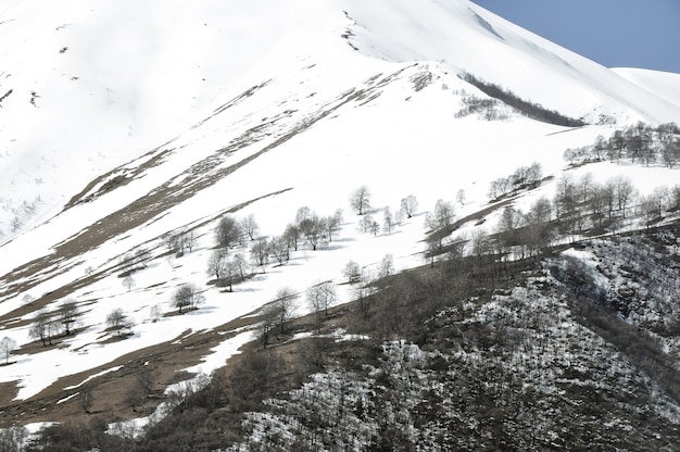 Splendido scenario delle montagne rocciose e innevate in campagna