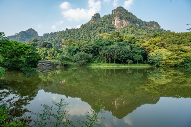 Splendido scenario di alberi verdi e alte montagne riflesse nel lago