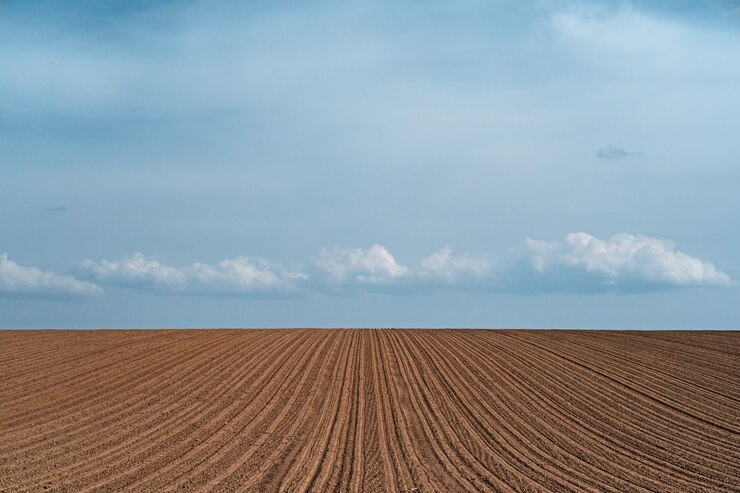 Foto gratuito splendido scenario di un campo agricolo coltivato sotto un cielo nuvoloso