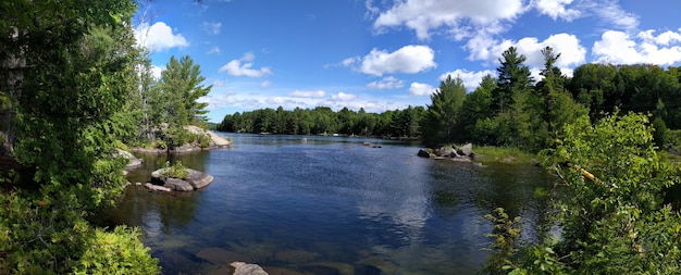 Splendido scenario di un lago circondato da alberi verdi sotto un cielo nuvoloso