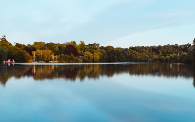 Splendido scenario di un lago con il riflesso degli alberi verdi circostanti