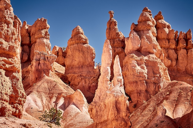 Splendido scenario di un paesaggio di canyon nel Parco Nazionale di Bryce Canyon, Utah, USA