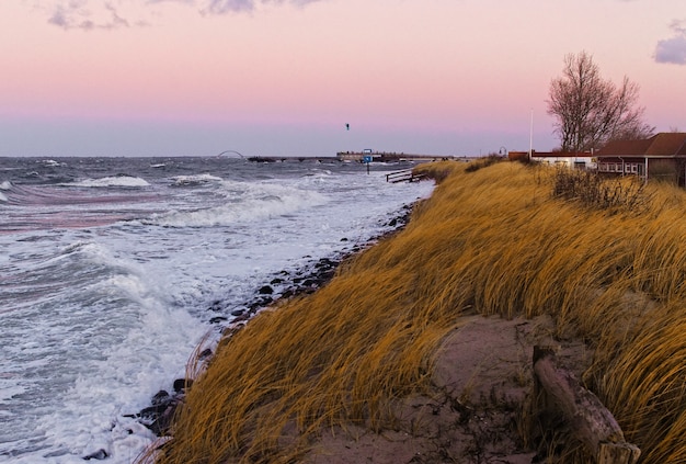 Splendido scenario di una collina erbosa in riva al mare durante il tramonto