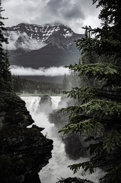 Splendido scenario di una potente cascata circondata da scogliere rocciose e alberi in Canada