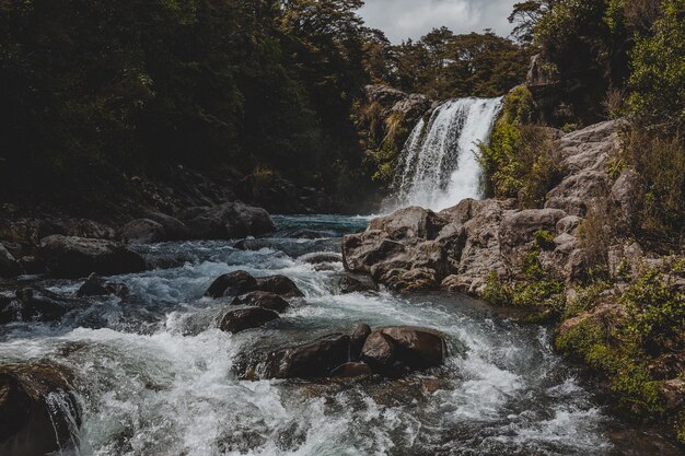 Splendido scenario di una potente cascata nella piscina di Gollum, Nuova Zelanda