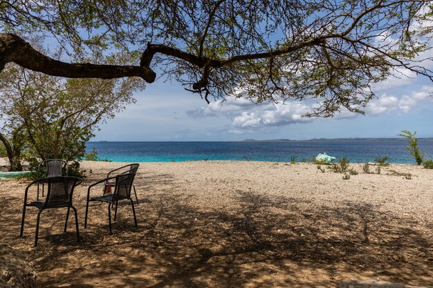 Splendido scenario di una spiaggia perfetta per trascorrere pomeriggi estivi a Bonaire, nei Caraibi