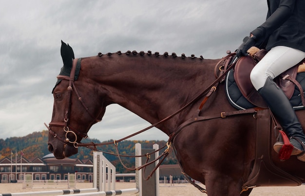 Sport equestre Ragazza giovane cavalca a cavallo in campionato