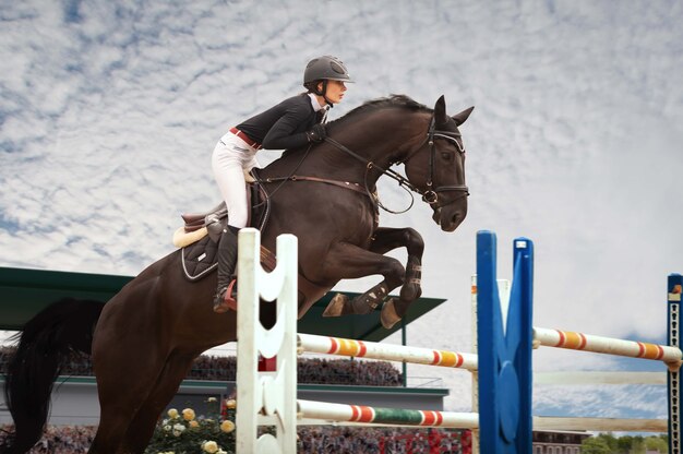 Sport equestre Ragazza giovane cavalca a cavallo in campionato
