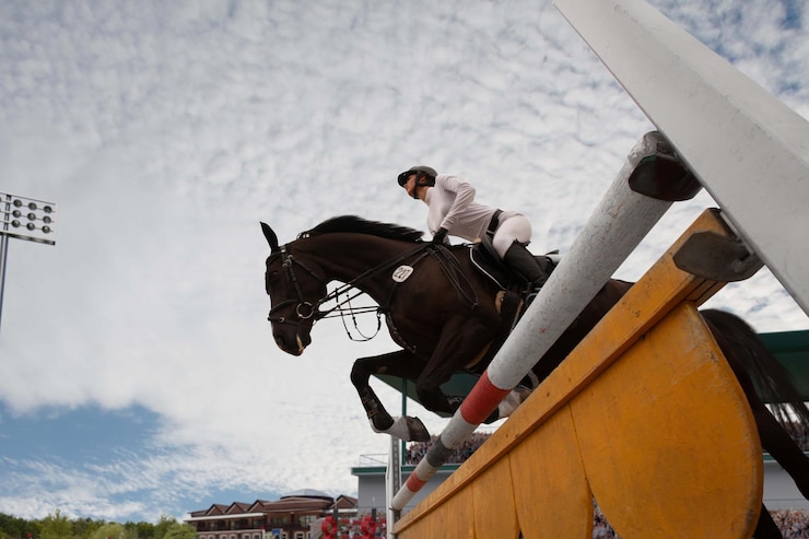 Foto gratuito sport equestre ragazza giovane cavalca a cavallo in campionato