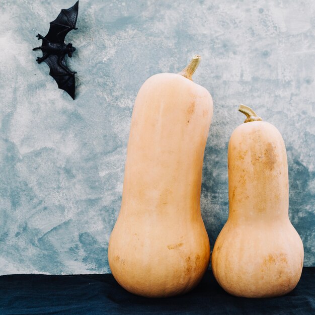 Squash con decorazione di pipistrello