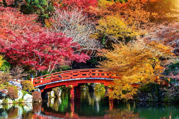 Stagione autunnale in Giappone, bellissimo parco autunnale.