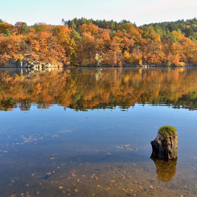 &quot;Stagno e boschi di autunno&quot;