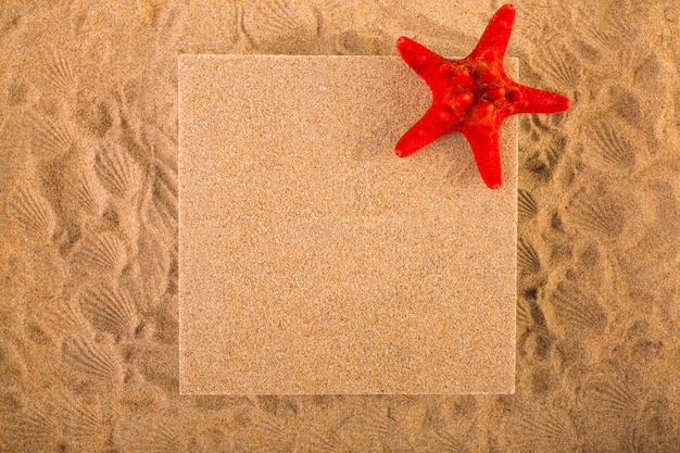 Starfish e pin board sulla sabbia