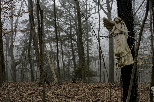Statua di un angelo in mezzo al bosco