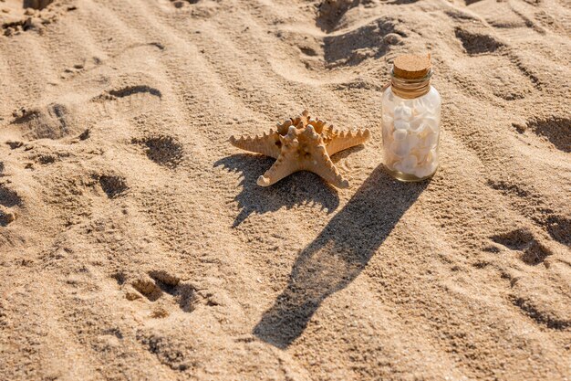 Stella marina e vaso con conchiglie sulla spiaggia sabbiosa
