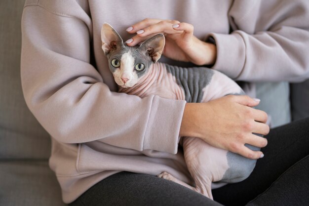 Stile di vita e ritratti dei gatti domestici