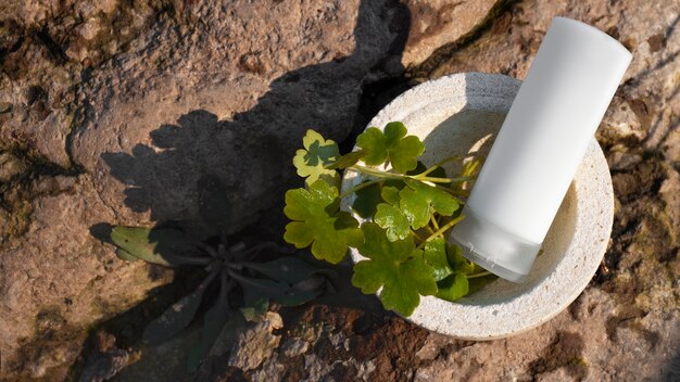 Still life di prodotti di bellezza basati sull'agricoltura rigenerativa