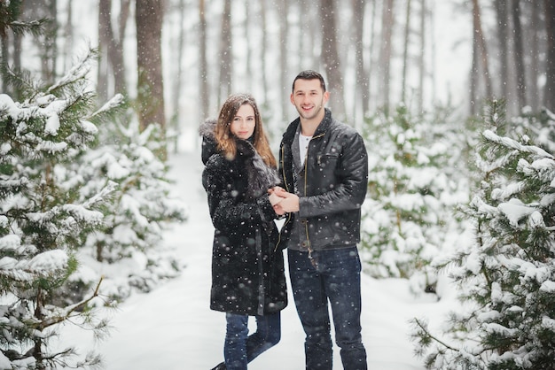 storia d&#39;amore di coppia di neve invernale