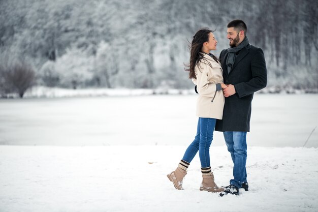 Storia d&#39;amore in inverno