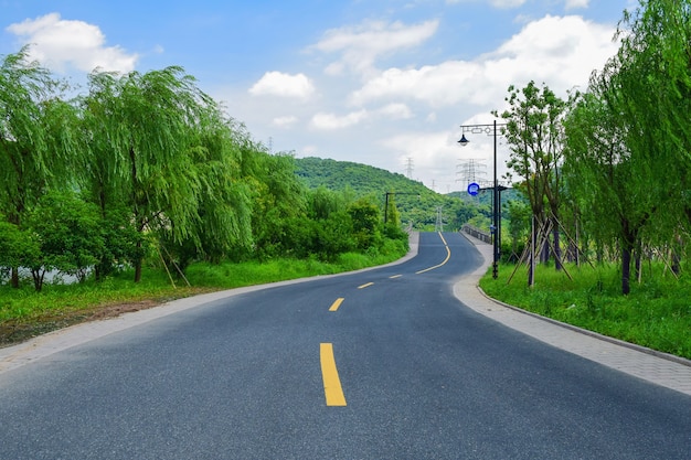 Strada asfaltata con linee gialle