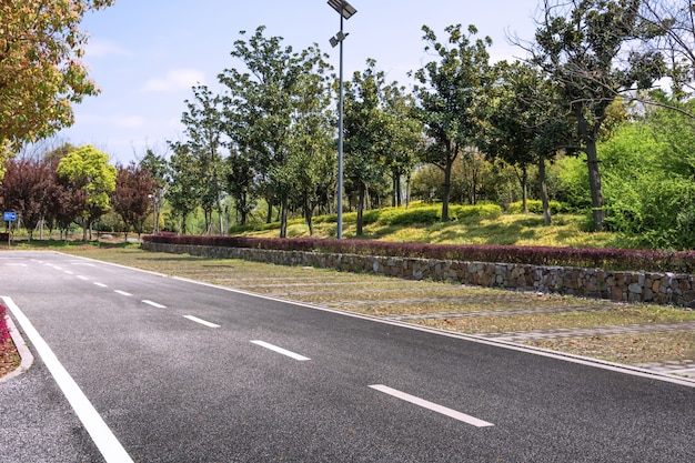 Strada asfaltata in un ambiente naturale