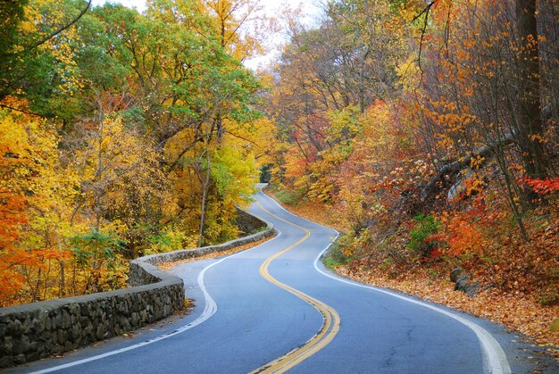 Strada autunnale tortuosa colorata