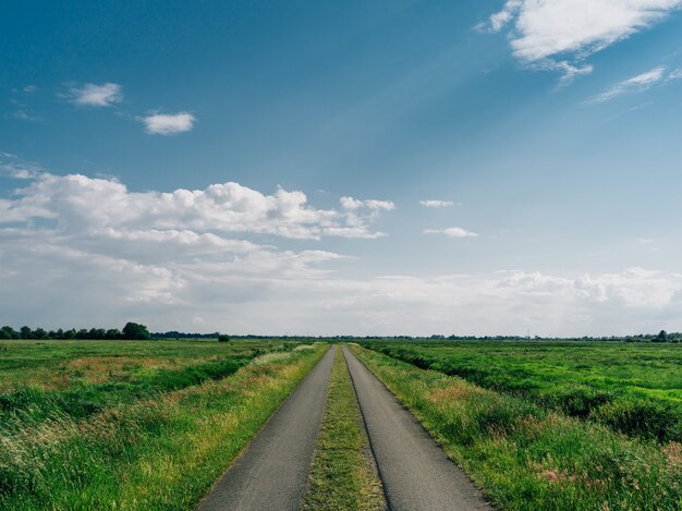 Strada circondata da un campo ricoperto di vegetazione sotto un cielo blu a Teufelsmoor