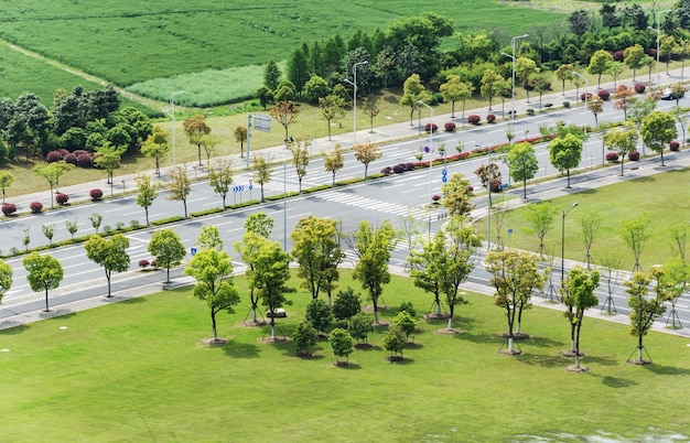 Strada con alberi intorno