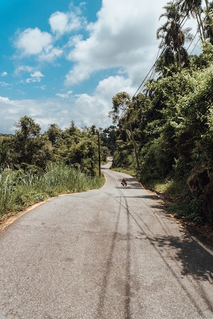 Strada con la foresta tropicale in Brasile