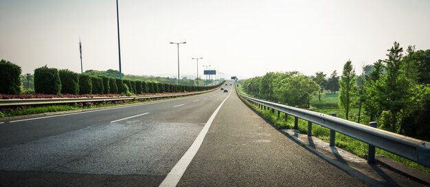 Strada di campagna estiva