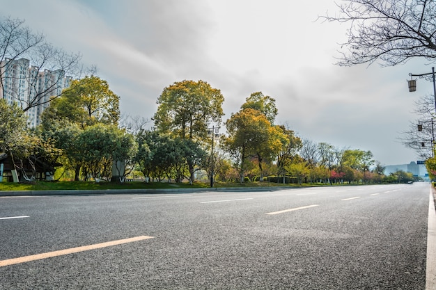 Strada e la vegetazione in un giorno nuvoloso