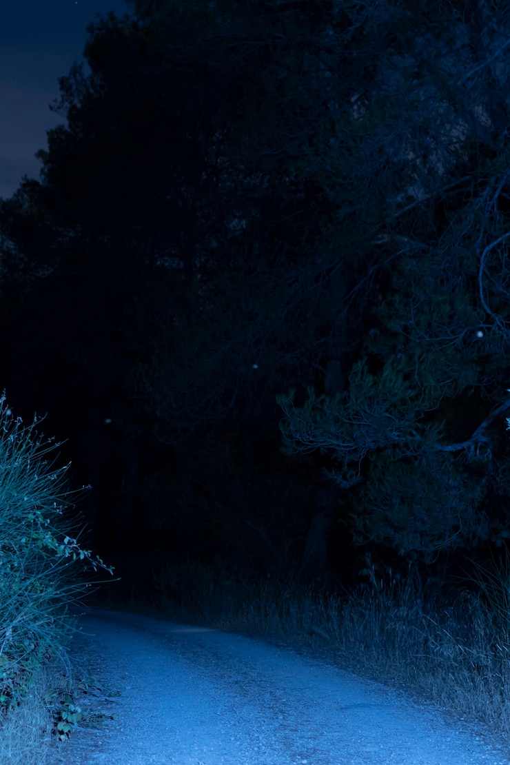 Foto gratuito strada illuminata di notte